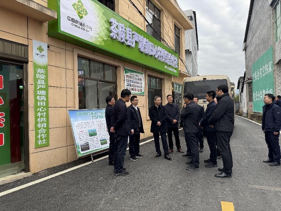 农村“三社合一”综合改革为乡村振兴 带来十个可喜变化