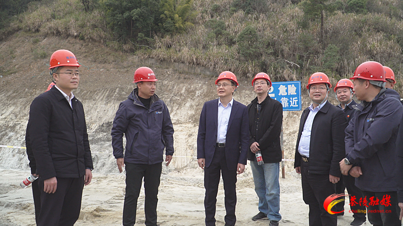 阳望平来茶走访慰问及督导调研经济运行开门红、安全生产和森林防火