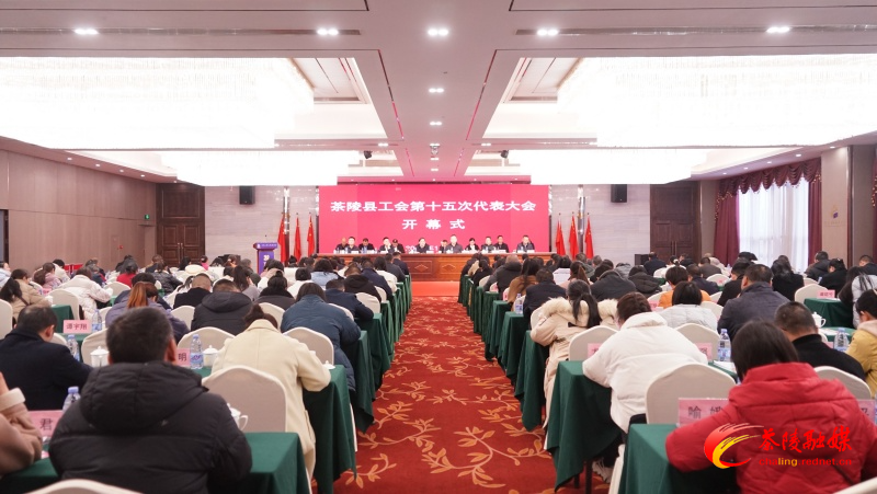茶陵县工会第十五次代表大会圆满举行