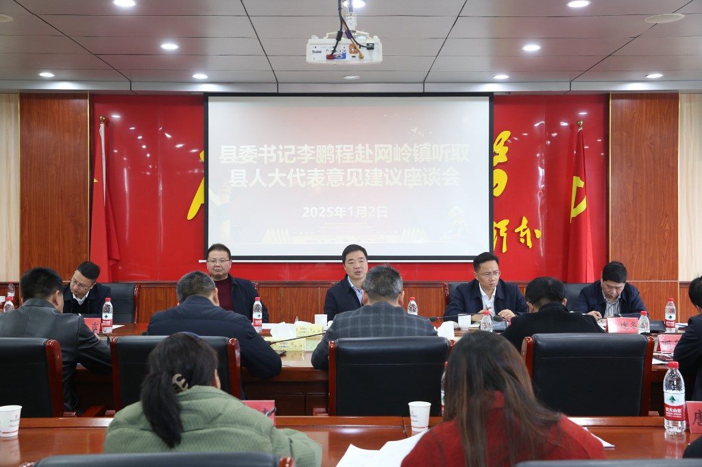 李鹏程赴网岭镇听取县人大代表意见建议座谈会