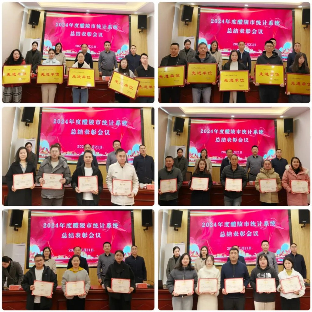 醴陵市统计局召开2024年度醴陵市统计系统总结表彰会