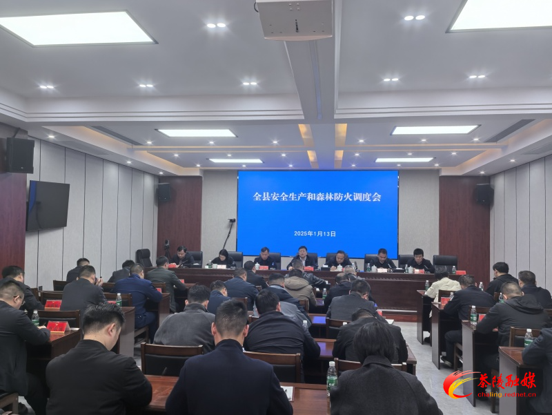 杨红兵调度安全生产和森林防火工作