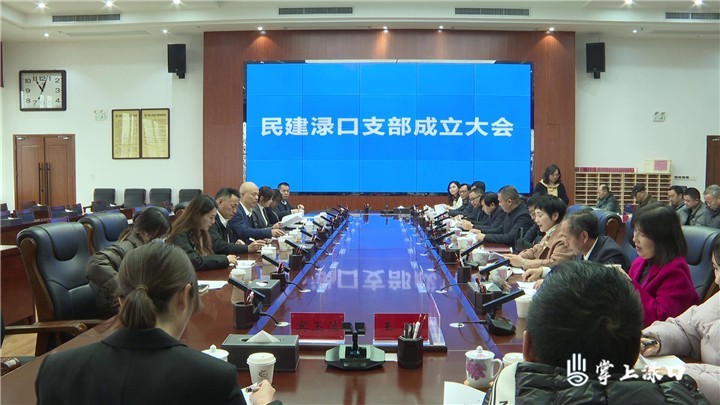 民建渌口支部正式成立
