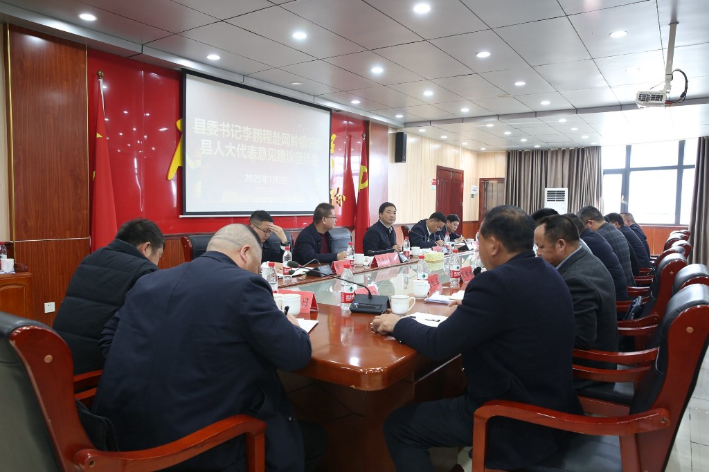 李鹏程赴网岭镇听取县人大代表意见建议座谈会