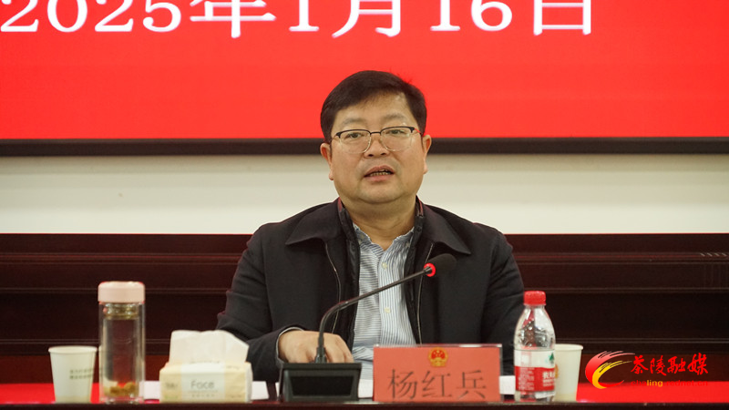 茶陵县政府就2025年《政府工作报告》征求意见