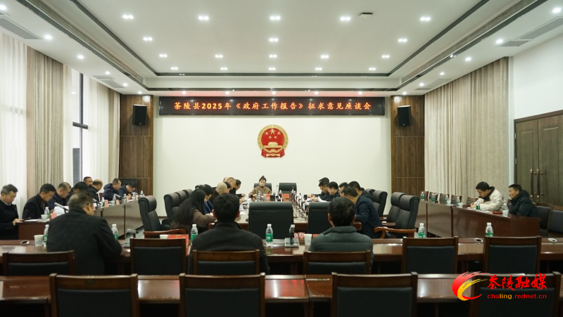 茶陵县政府就2025年《政府工作报告》征求意见