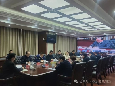 株洲市召开全市冬季暨春节期间森林防灭火工作视频会议