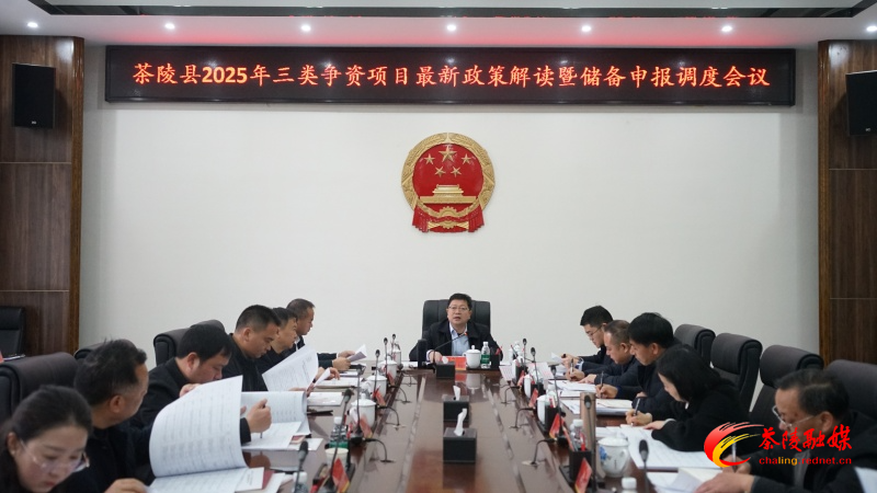 茶陵县召开2025年三类争资项目最新政策解读暨储备申报调度会议