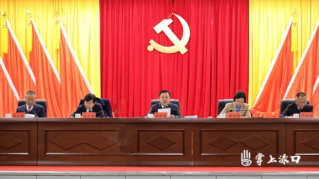 中国共产党株洲市渌口区第二届委员会第九次全体会议举行