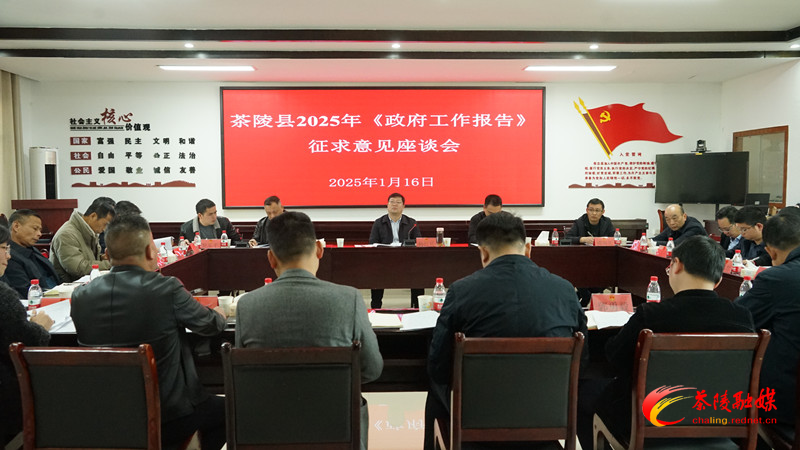 茶陵县政府就2025年《政府工作报告》征求意见