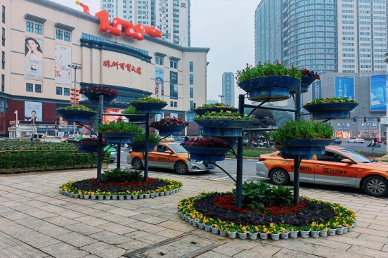 芦淞园林:扮靓城市迎新年