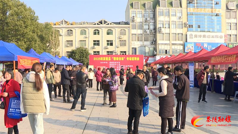 2400多个岗位！茶陵县举行2025年“职等你来”专场招聘会