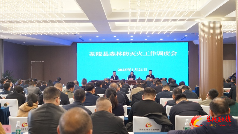 茶陵县森林防灭火会议召开
