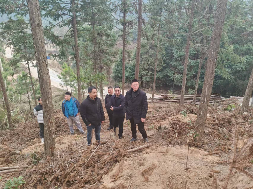 市林业局一级调研员谭辉赴各县市区督导林业行政执法、重点项目建设等工作