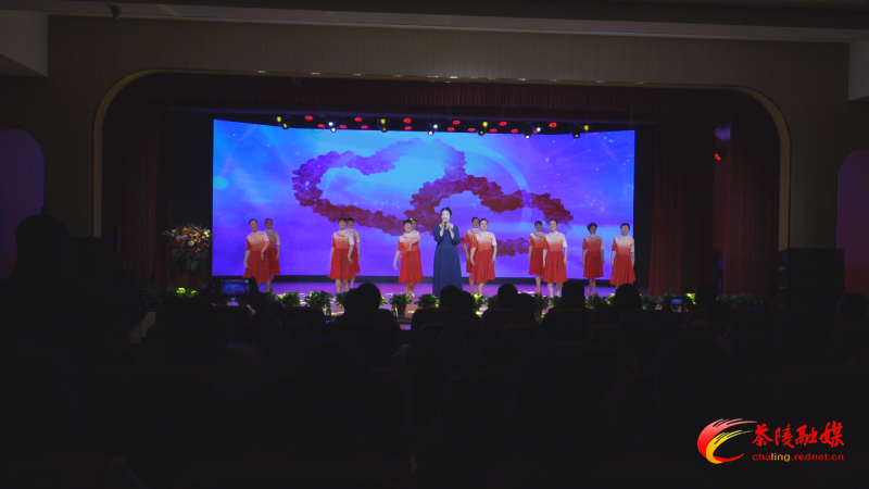 第三十九个国际志愿者日暨茶陵县志愿者联合会成立15周年文艺晚会活动举行