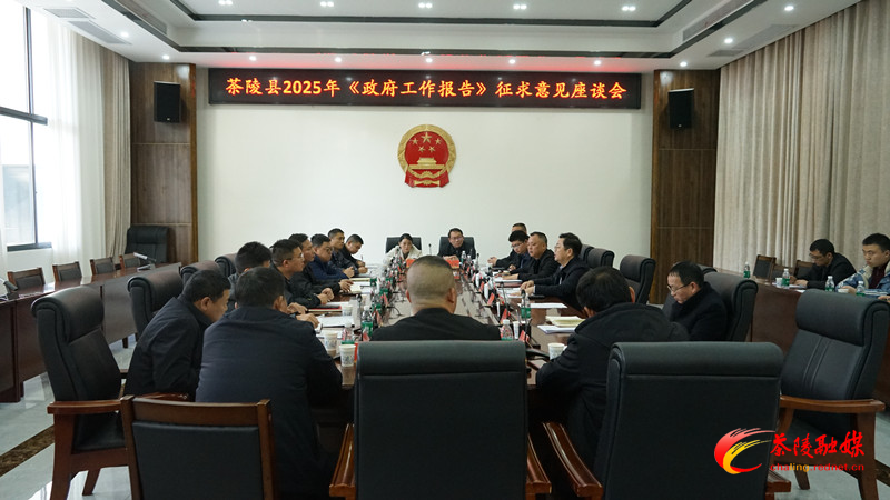 茶陵县政府就2025年《政府工作报告》征求意见