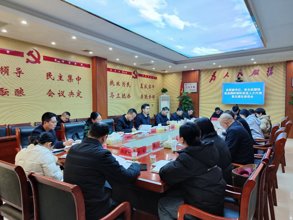 武挪强赴皇图岭镇听取县人大代表意见建议