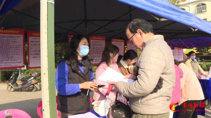 2400多个岗位！茶陵县举行2025年“职等你来”专场招聘会