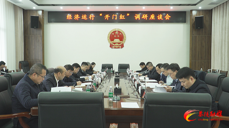 阳望平来茶走访慰问及督导调研经济运行开门红、安全生产和森林防火