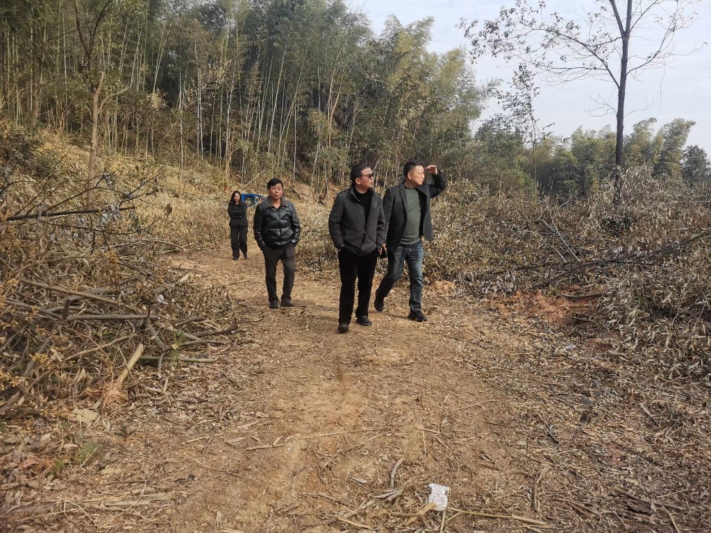 尹海坤带队到国土绿化施工小班现场检查林下可燃物清理工作