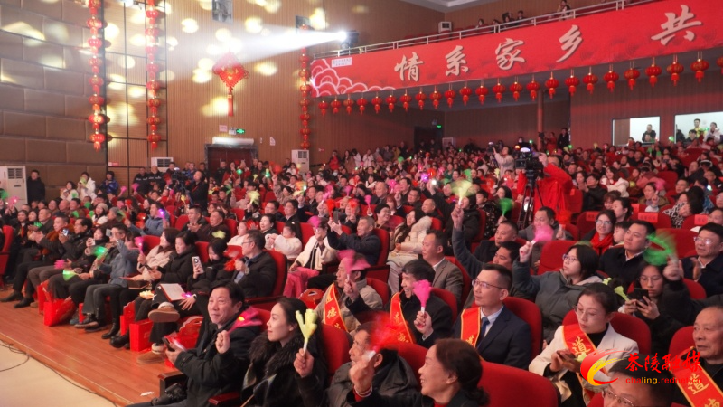 茶陵县举行“情系家乡 共创未来”主题晚会