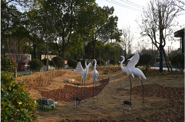 芦淞区：枫韵园建成并对外开放