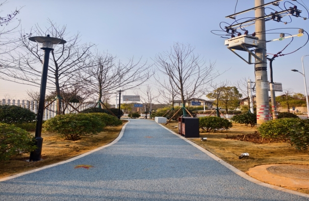 芦淞区：枫韵园建成并对外开放
