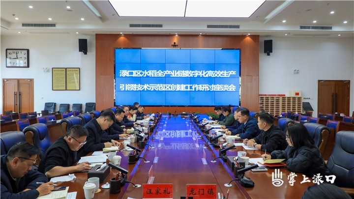 渌口区水稻全产业链数字化高效生产引领技术示范区创建工作研讨座谈会召开