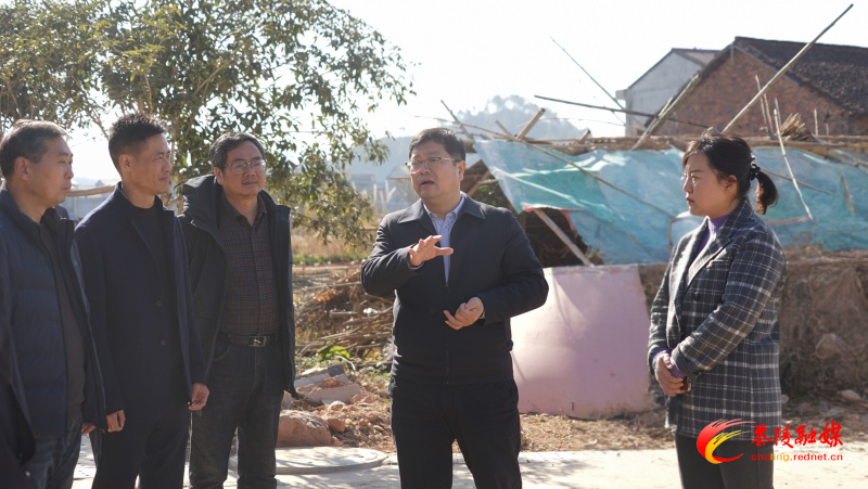 杨红兵督导乡村振兴、森林防灭火工作