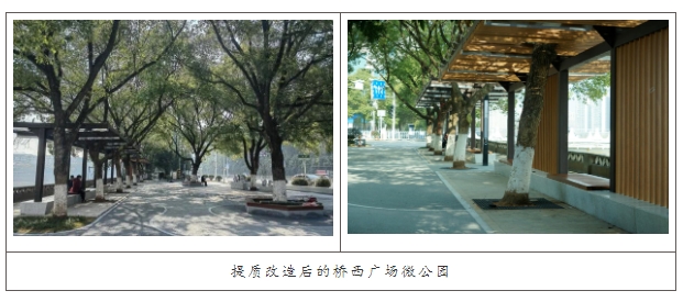 城市微公园交付使用，市民乐享绿色新空间