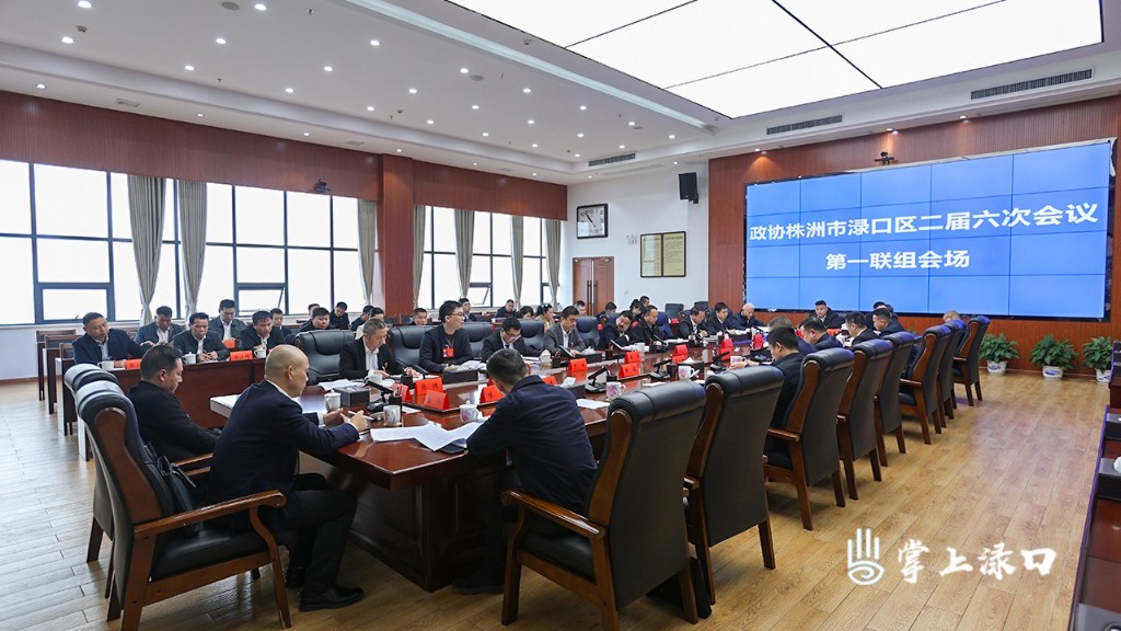 【聚焦两会】李晓彤参加区政协二届六次会议第一联组协商讨论