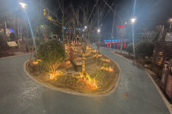 芦淞区：枫韵园建成并对外开放