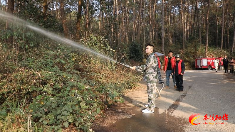秩堂镇：守好岁末年初关 抓实抓细各项森防措施