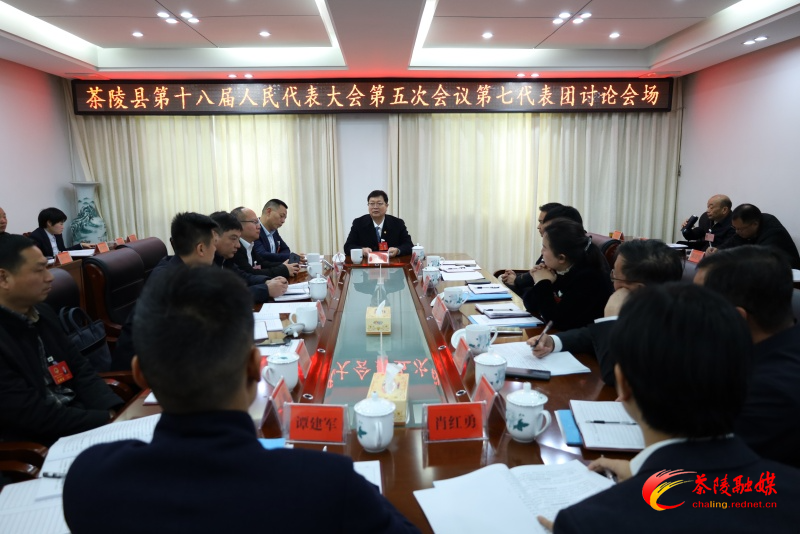 茶陵县第十八届人民代表大会第五次会议：各代表团进行分团讨论 杨红兵、唐杰、何文龙等领导参加