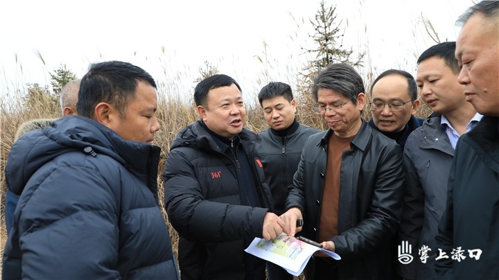 李晓彤调研绿色循环经济产业园项目