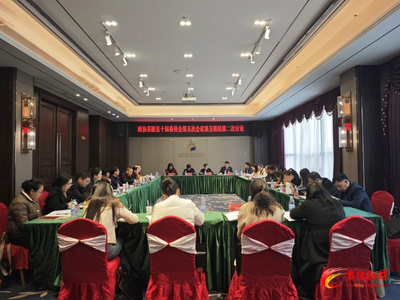 政协茶陵县第十届委员会第五次会议:开展分联组第二次讨论 杨红兵、唐杰、刘晓伟等领导参加讨论