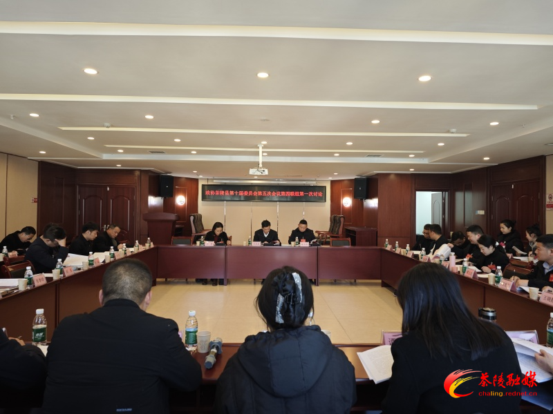 政协茶陵县第十届委员会第五次会议：开展分联组第一次讨论 刘晓伟等领导参加讨论