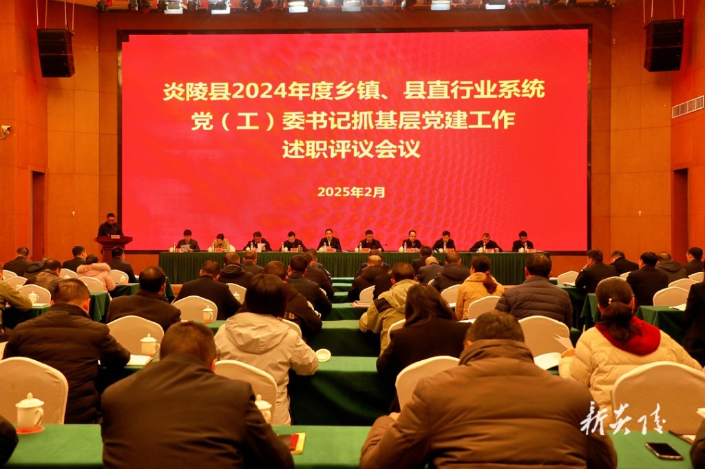 炎陵县2024年度乡镇、县直行业系统党（工）委书记抓基层党建工作述职评议会议召开