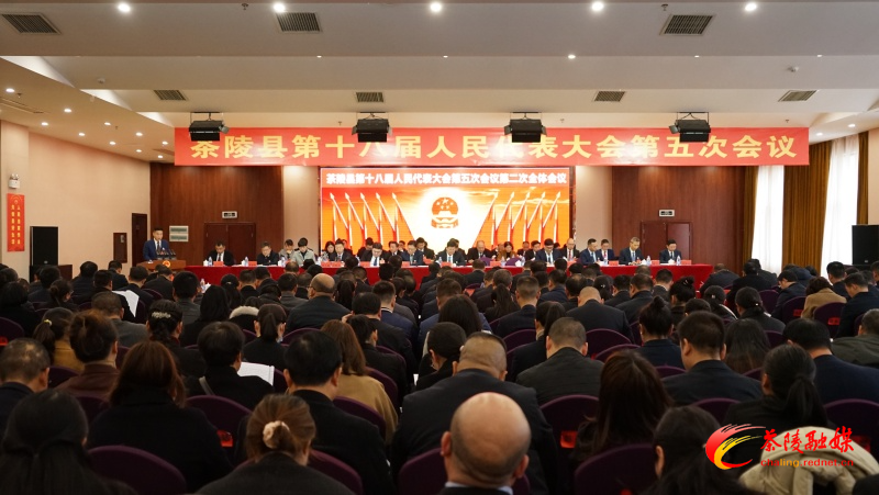 茶陵县第十八届人民代表大会第五次会议：举行第二次全体会议