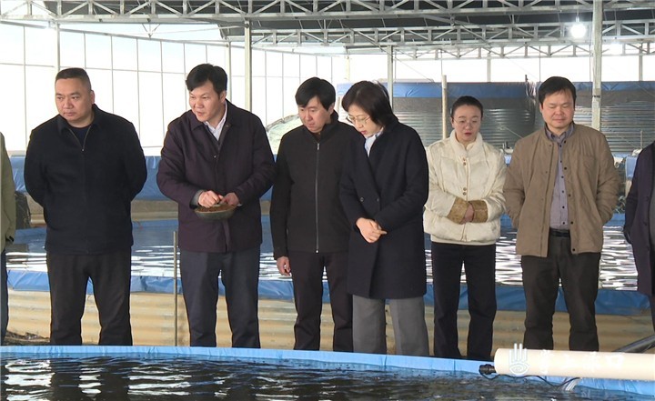 省委农办一行来渌口区指导春季农业生产工作
