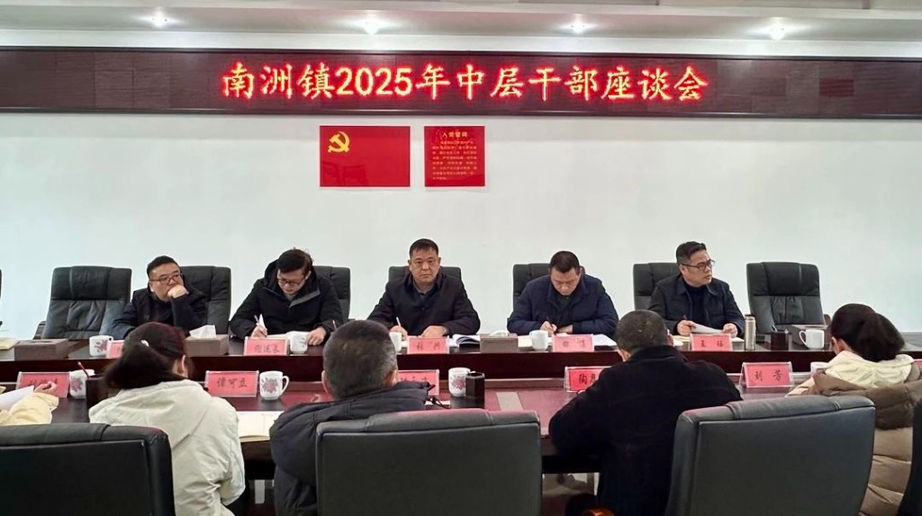 聚智凝力 共谋发展|南洲镇召开2025年中层干部座谈会