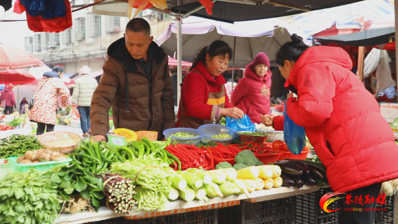 茶陵：春菜“抢鲜”上市 市民餐桌“春意盎然”