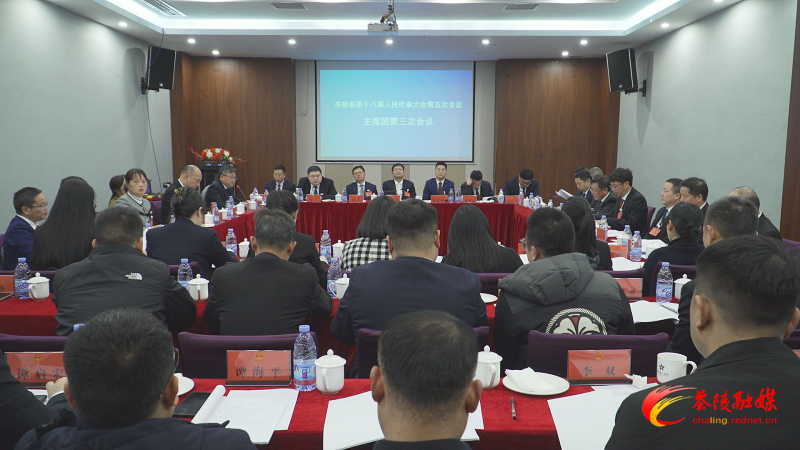 茶陵县第十八届人民代表大会第五次会议：召开主席团第三次会议
