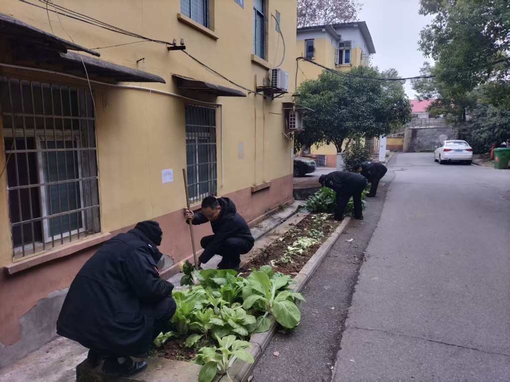 石峰城管：整治违规菜地 净化市容环境