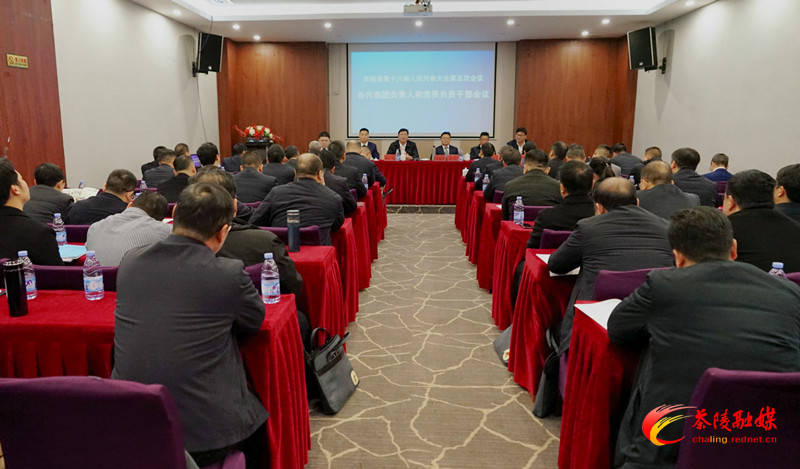茶陵县第十八届人民代表大会第五次会议:召开各代表团负责人和党员负责干部会议