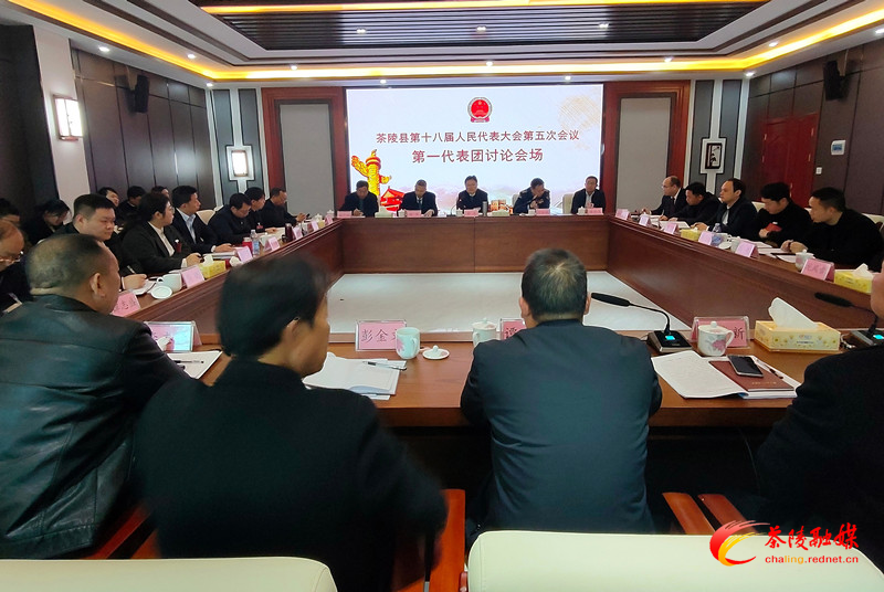 茶陵县第十八届人民代表大会第五次会议：各代表团进行分团讨论 杨红兵、唐杰、何文龙等领导参加
