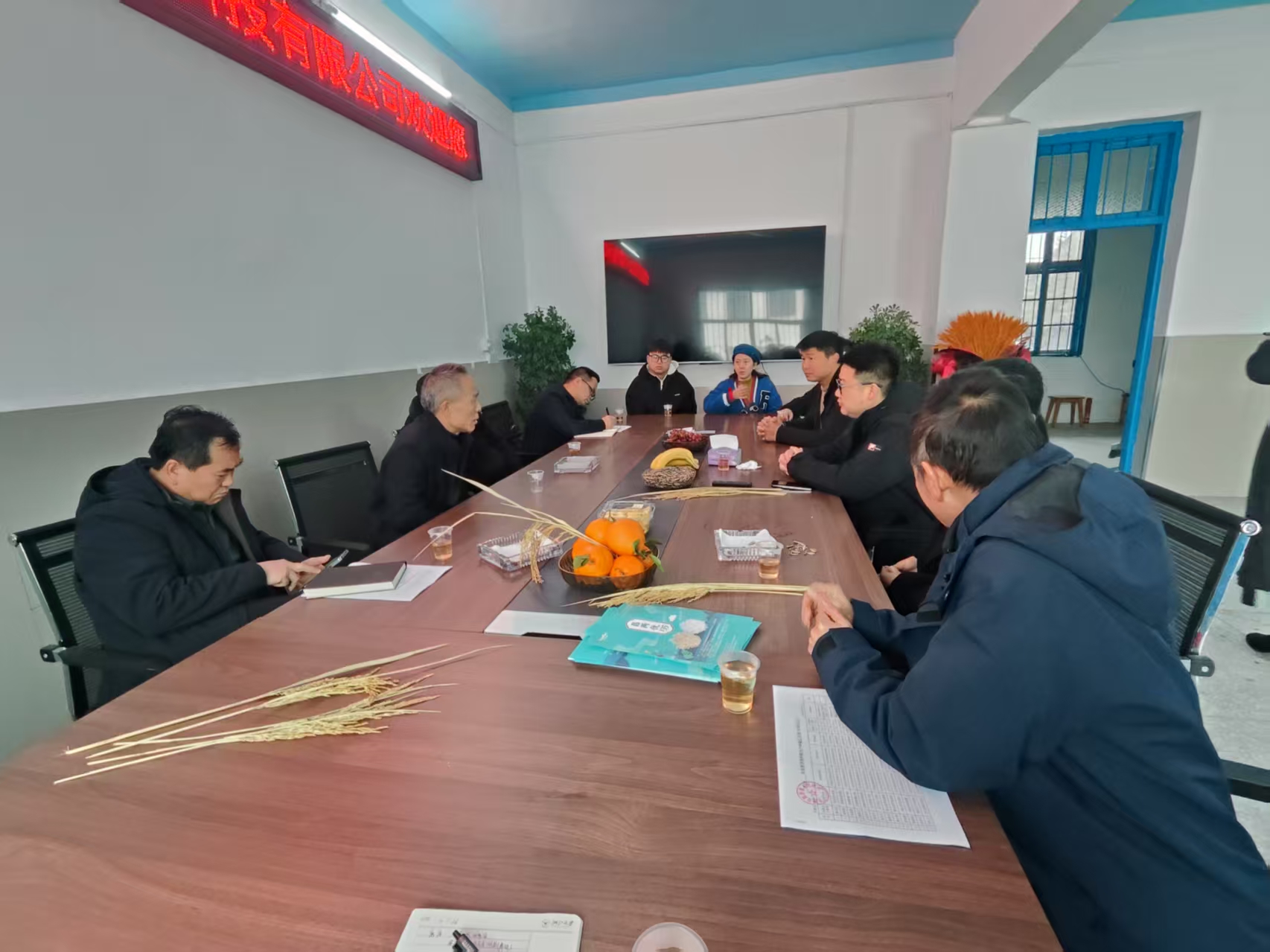 中心主任龙凡平带队指导春耕备耕工作