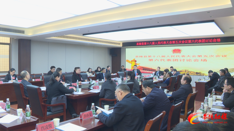 茶陵县第十八届人民代表大会第五次会议：各代表团进行分团讨论 杨红兵、唐杰、何文龙等领导参加