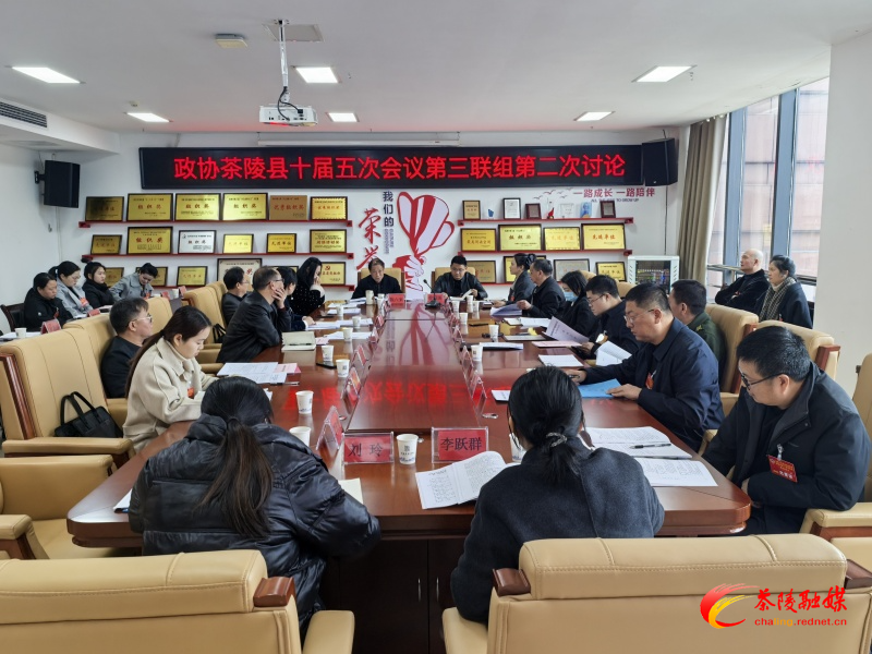 政协茶陵县第十届委员会第五次会议:开展分联组第二次讨论 杨红兵、唐杰、刘晓伟等领导参加讨论