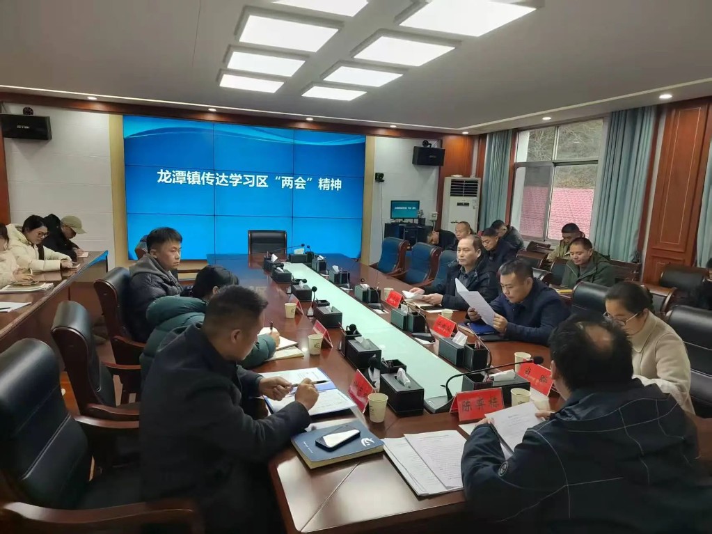 龙潭镇传达学习区两会精神